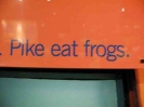 Vancouver_PikeEatFrogs